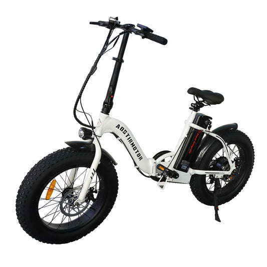 Folding and Portable Fat Electric Bike