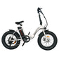 Folding and Portable Fat Electric Bike